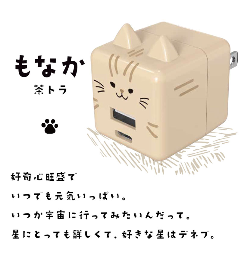 ��Фˤ㡼 USB���Ŵ� 2�ݡ���PD�б� USB Type-C Power Delivery 20W Type-A 2.4A ��Х˥㡼 ��ʤ� RACCA20W03MNK