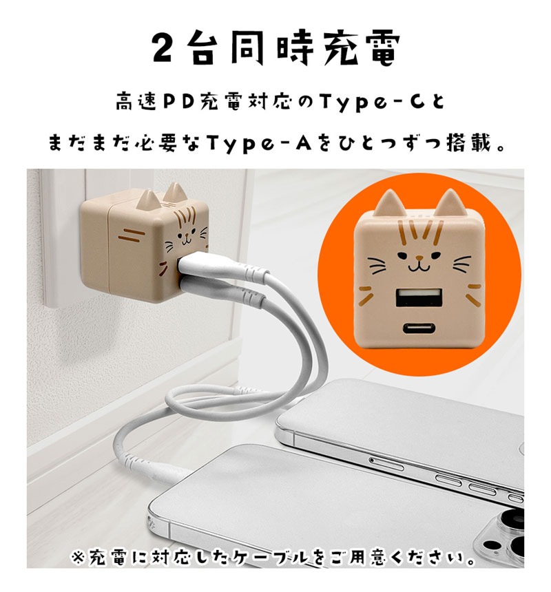 ��Фˤ㡼 USB���Ŵ� 2�ݡ���PD�б� USB Type-C Power Delivery 20W Type-A 2.4A ��Х˥㡼 ��ʤ� RACCA20W03MNK