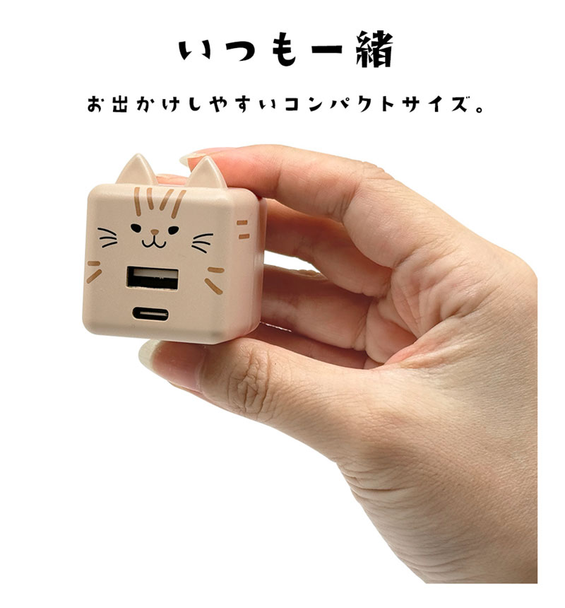 ��Фˤ㡼 USB���Ŵ� 2�ݡ���PD�б� USB Type-C Power Delivery 20W Type-A 2.4A ��Х˥㡼 ��ʤ� RACCA20W03MNK