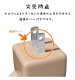 ��Фˤ㡼 USB���Ŵ� 2�ݡ���PD�б� USB Type-C Power Delivery 20W Type-A 2.4A ��Х˥㡼 ��ʤ� RACCA20W03MNK