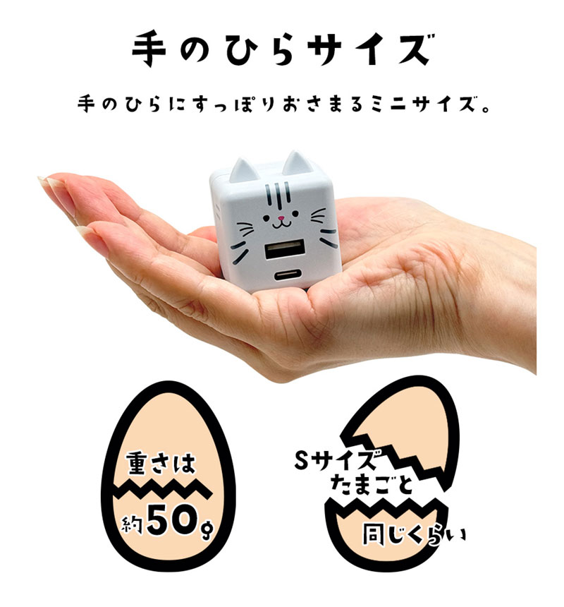 Фˤ㡼 USBŴ 2ݡPDб USB Type-C Power Delivery 20W Type-A 2.4A Х˥㡼  RACCA20W03RIN