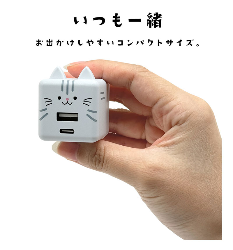Фˤ㡼 USBŴ 2ݡPDб USB Type-C Power Delivery 20W Type-A 2.4A Х˥㡼  RACCA20W03RIN