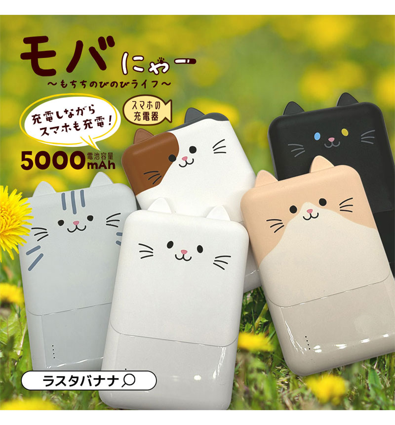 Фˤ㡼 ХХåƥ꡼ 5000mAh 2.1A USB Type-C1ݡ Type-A2ݡ   ǽ 3Ʊ  RLI050C2A01ART