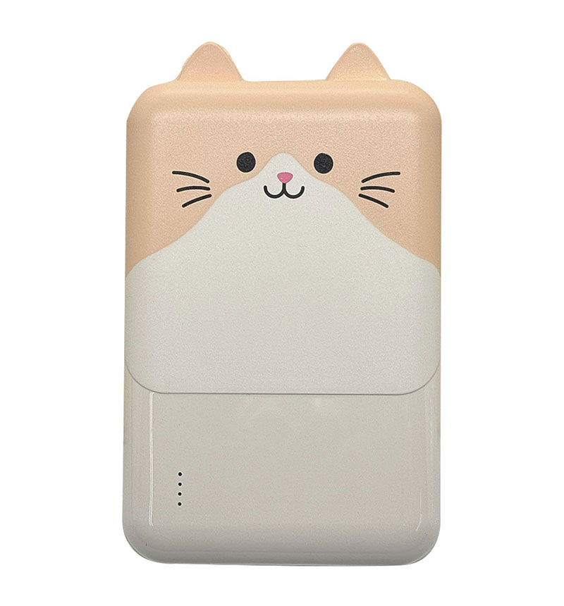 Фˤ㡼 ХХåƥ꡼ 5000mAh 2.1A USB Type-C1ݡ Type-A2ݡ   ǽ 3Ʊ  RLI050C2A01ART