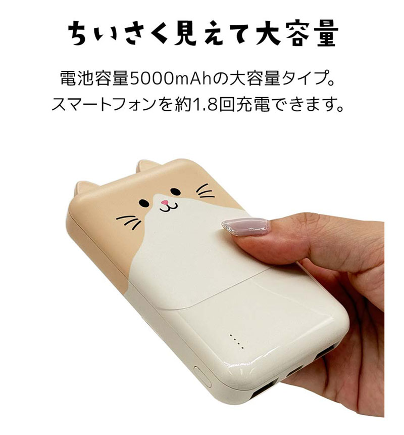 Фˤ㡼 ХХåƥ꡼ 5000mAh 2.1A USB Type-C1ݡ Type-A2ݡ   ǽ 3Ʊ  RLI050C2A01ART