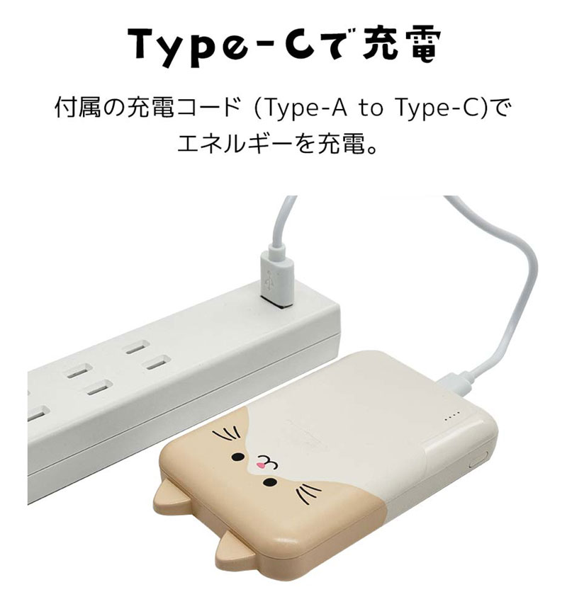 Фˤ㡼 ХХåƥ꡼ 5000mAh 2.1A USB Type-C1ݡ Type-A2ݡ   ǽ 3Ʊ  RLI050C2A01ART