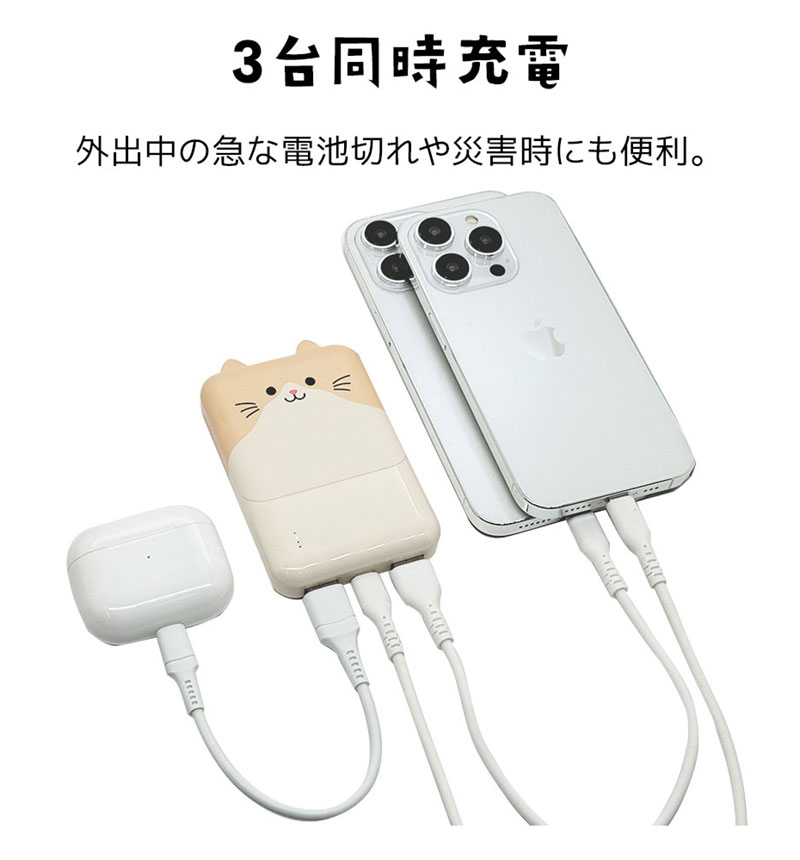 Фˤ㡼 ХХåƥ꡼ 5000mAh 2.1A USB Type-C1ݡ Type-A2ݡ   ǽ 3Ʊ  RLI050C2A01ART