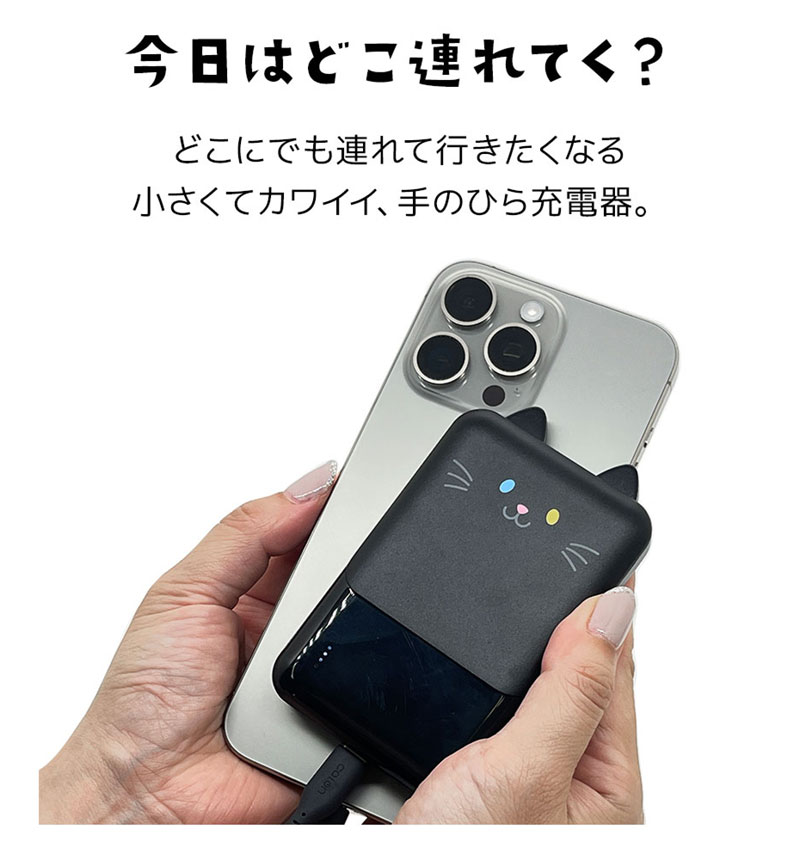 ��Фˤ㡼 ��Х���Хåƥ꡼ 5000mAh 2.1A USB Type-C1�ݡ��� Type-A2�ݡ��� ���� ������ ���������ǽ 3��Ʊ������ ���� RLI050C2A01GOM