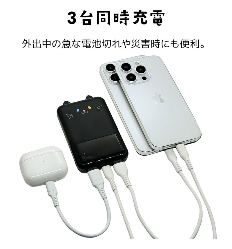��Фˤ㡼 ��Х���Хåƥ꡼ 5000mAh 2.1A USB Type-C1�ݡ��� Type-A2�ݡ��� ���� ������ ���������ǽ 3��Ʊ������ ���� RLI050C2A01GOM