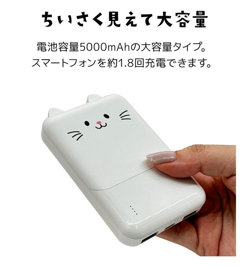 ��Фˤ㡼 ��Х���Хåƥ꡼ 5000mAh 2.1A USB Type-C1�ݡ��� Type-A2�ݡ��� ���� ������ ���������ǽ 3��Ʊ������ ����� RLI050C2A01MCC