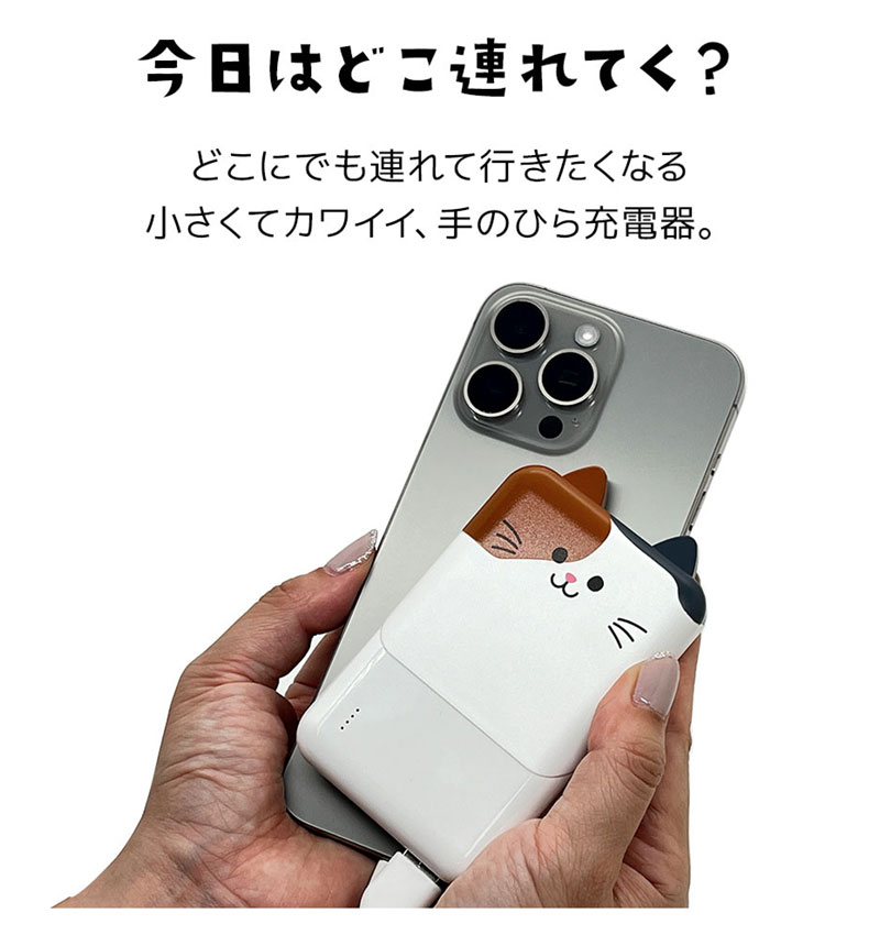 ��Фˤ㡼 ��Х���Хåƥ꡼ 5000mAh 2.1A USB Type-C1�ݡ��� Type-A2�ݡ��� ���� ������ ���������ǽ 3��Ʊ������ �ߥå� RLI050C2A01MIK