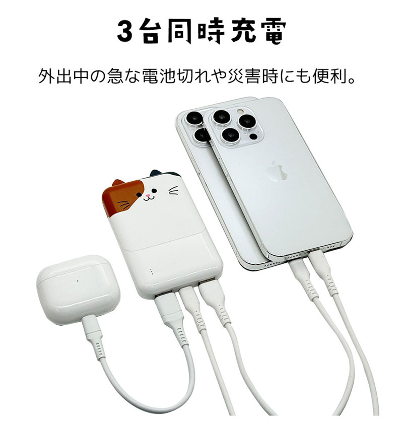 ��Фˤ㡼 ��Х���Хåƥ꡼ 5000mAh 2.1A USB Type-C1�ݡ��� Type-A2�ݡ��� ���� ������ ���������ǽ 3��Ʊ������ �ߥå� RLI050C2A01MIK
