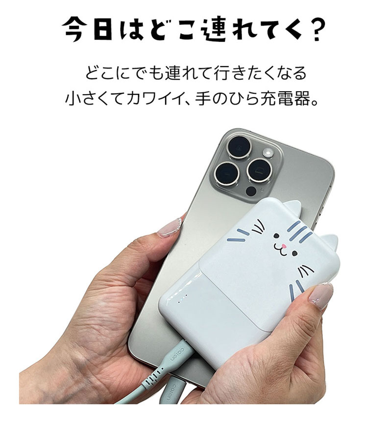 ��Фˤ㡼 ��Х���Хåƥ꡼ 5000mAh 2.1A USB Type-C1�ݡ��� Type-A2�ݡ��� ���� ������ ���������ǽ 3��Ʊ������ ��� RLI050C2A01RIN