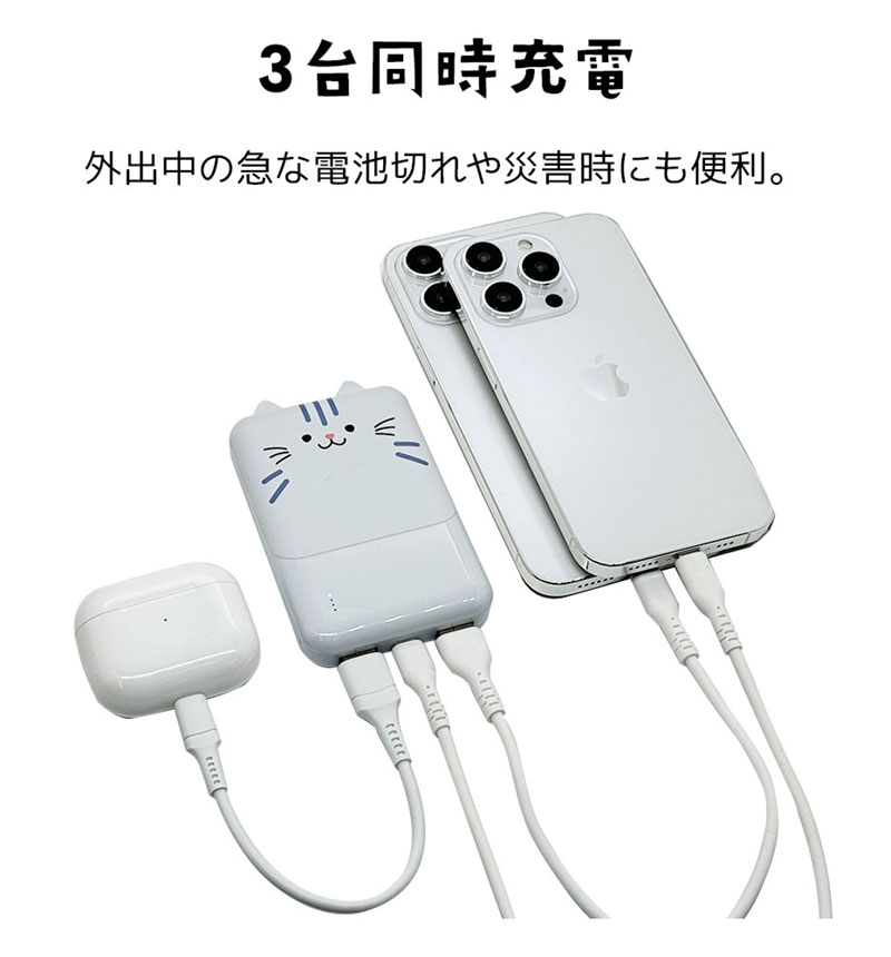 ��Фˤ㡼 ��Х���Хåƥ꡼ 5000mAh 2.1A USB Type-C1�ݡ��� Type-A2�ݡ��� ���� ������ ���������ǽ 3��Ʊ������ ��� RLI050C2A01RIN