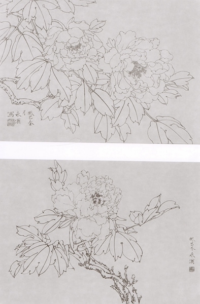 牡丹(二) 唯美白描精選 中国絵画/牡丹(二) 唯美白描精选