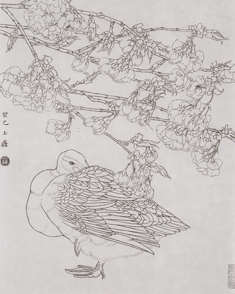 禽鳥写生(二) 唯美白描精選 中国絵画/禽鸟写生(二) 唯美白描精