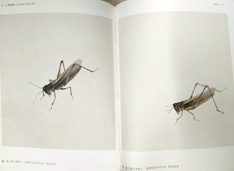 草間偸活 斎白石画筆下の草虫世界 中国語版美術/草间