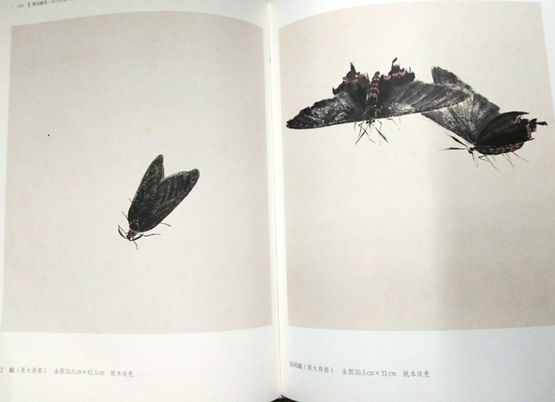 草間偸活 斎白石画筆下の草虫世界 中国語版美術/草间