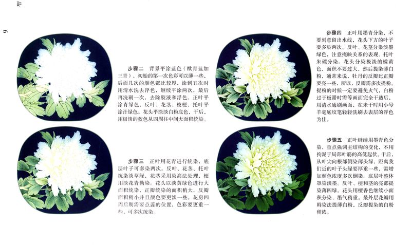 着色 牡丹十二名品 水墨工筆画の着色技法書 実用原大白描 中国絵画