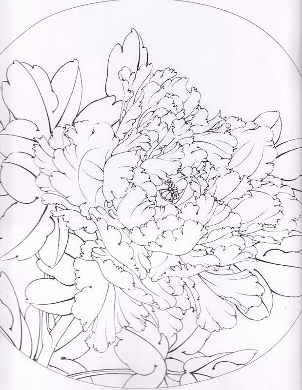 着色 牡丹十二名品 水墨工筆画の着色技法書 実用原大白描 中国絵画