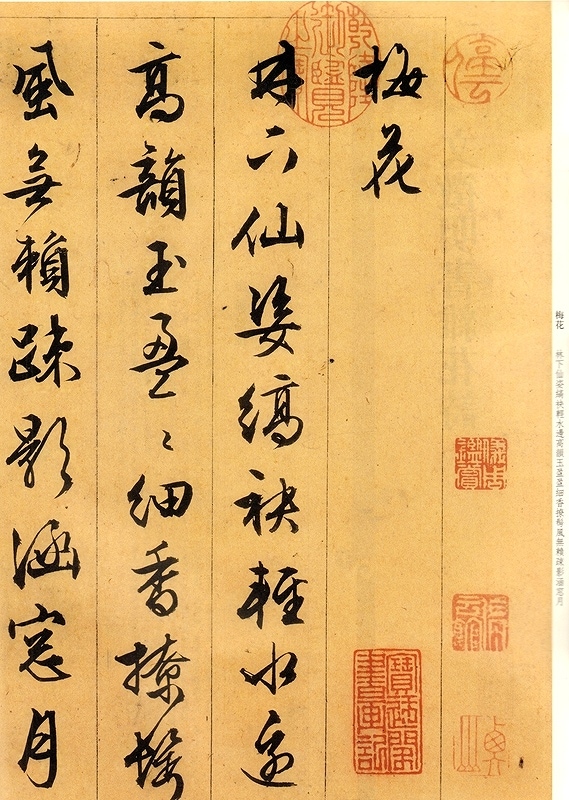 文徴明書雑花詩 原色拡大版中国著名碑帖 中国語書道/文征明书