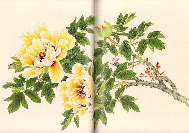 掛け軸 手描き 牡丹図 中国画 直筆作品 吉祥如意 山口華楊 牡丹｜古美術・掛け軸の販売・買取・鑑定-松本松栄堂