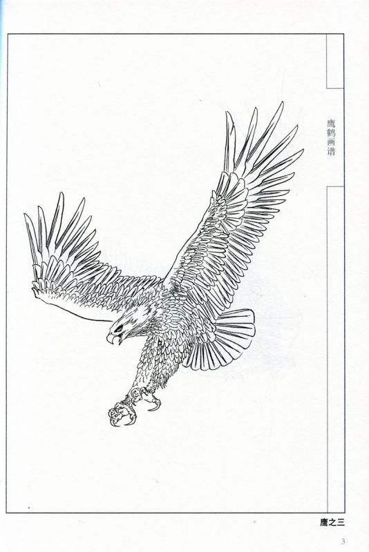 中国絵画 工芸 鷹 鷹と鶴の画譜 中国画線描 大人の塗り絵 中国絵画/鹰