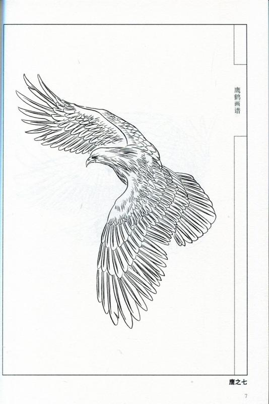 中国絵画　工芸　鷹 Yahoo!オークション - 9787530531785 鷹が羽ばたく 鷹絵画集 中国水墨