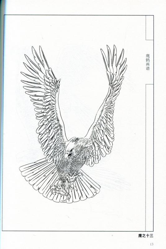 鷹と鶴の画譜 中国画線描 大人の塗り絵 中国絵画/鹰鹤画