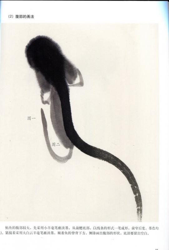 鯉 ナマズ 金魚 写意描き方 美術基礎教学系列叢書 中国絵画/写意