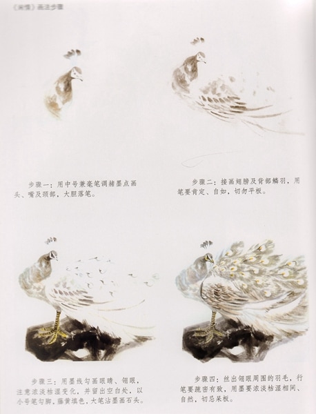 孔雀 クジャクの描き方 模写宝典 中国画技法 中国語絵画/孔雀 临