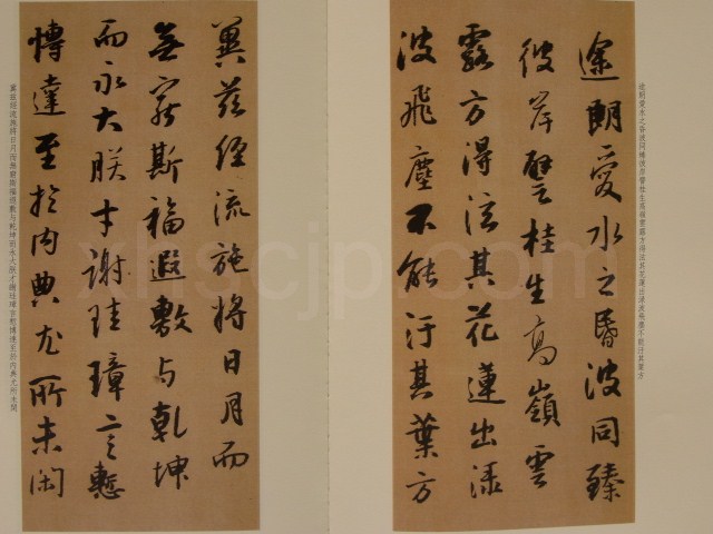 王鐸臨集字聖教序 館蔵国宝墨跡39 (中国語書道)/王铎临集