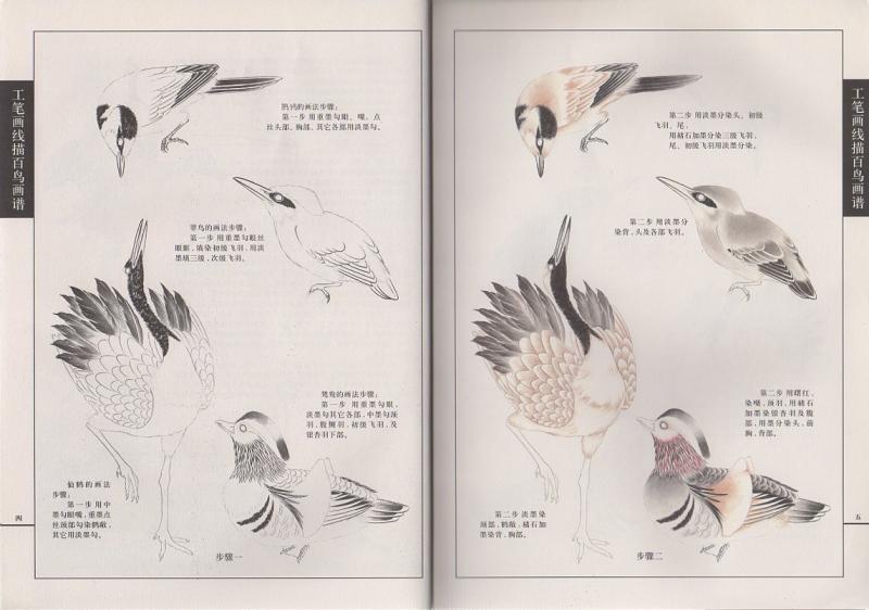 水鳥編 工筆画線描百鳥画譜 中国画白描技法 大人の塗り絵 水鳥の塗り絵 