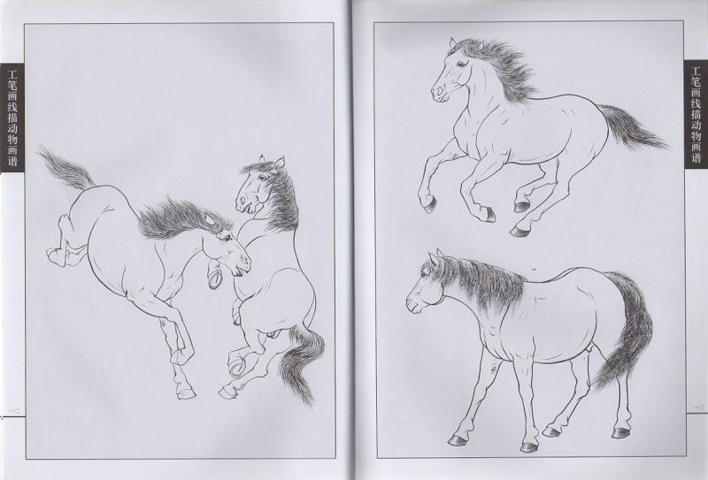 馬編 中国画白描技法 工筆画線描動物画譜 大人の塗り絵 馬の塗り絵