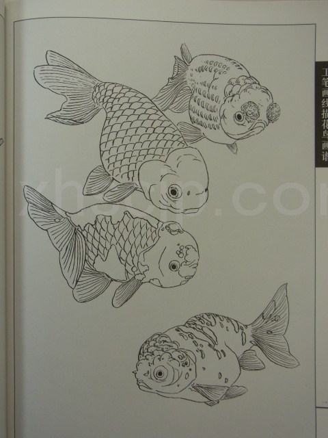 金魚編 中国画白描技法 工筆画線描花鳥画譜 中国絵画/金鱼篇 工