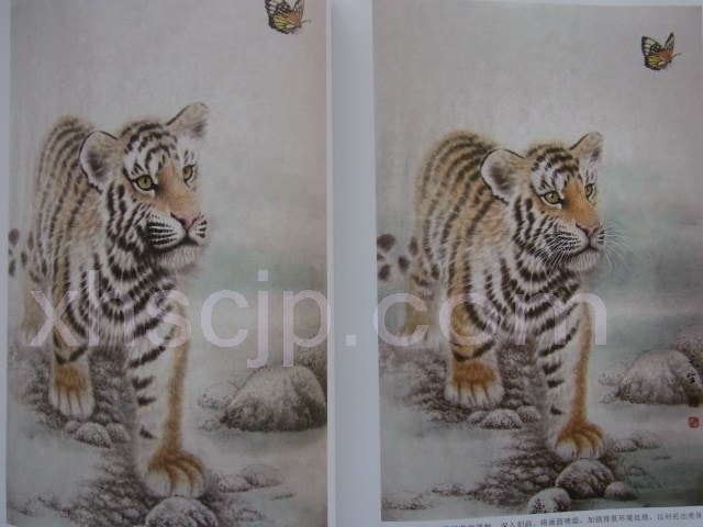 虎 工筆動物画法 水墨とら絵の描き方 中国絵画/虎 工笔动物画法