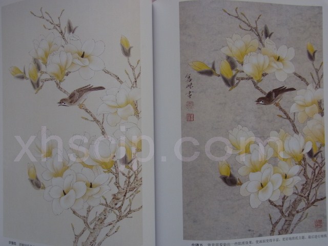 木蓮 モクレン 工筆花卉技法 中国絵画/玉兰 工笔花卉画法