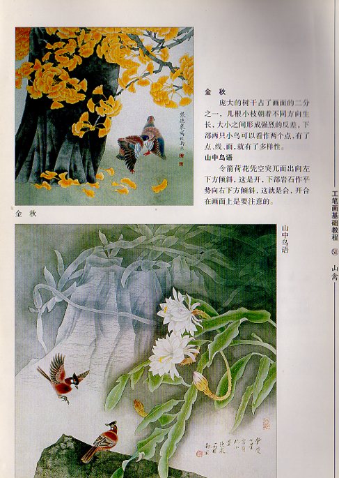 山鳥 工筆画基礎技法 水墨画技法 中国絵画/山禽 工笔画基础