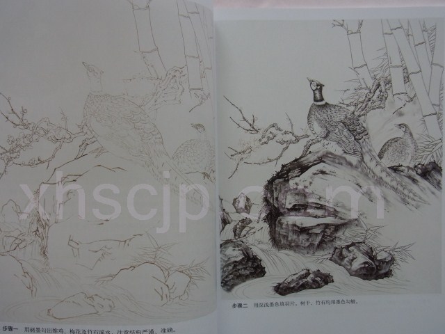 中國工筆畫-キジ、キンケイ、銀キジ、オウム画法 /中国工笔