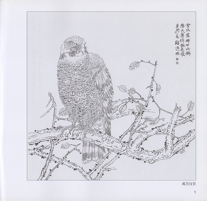 中国絵画　工芸　鷹 たか 工筆鷹画法 中国画技法叢書 中国絵画/工笔鹰画