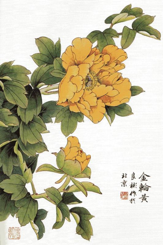 ぼたん 伝統工筆牡丹画法 中国画技法 中国絵画/传统工