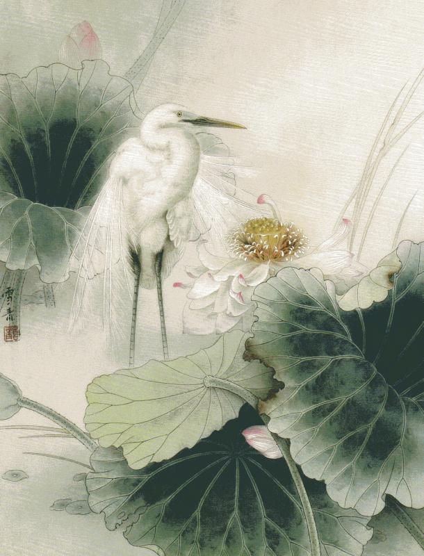 ちょうるい 工筆鳥類画法 中国画技法 中国絵画/工笔飞禽画