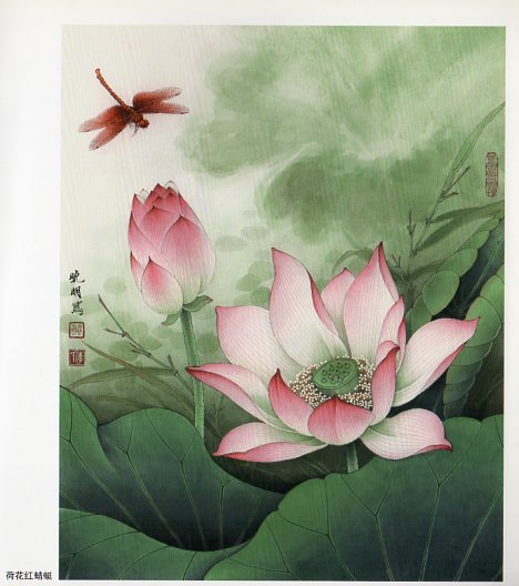 李暁明 彩墨世界 工筆花鳥作品精選 中国絵画/李晓明 彩墨世界 工