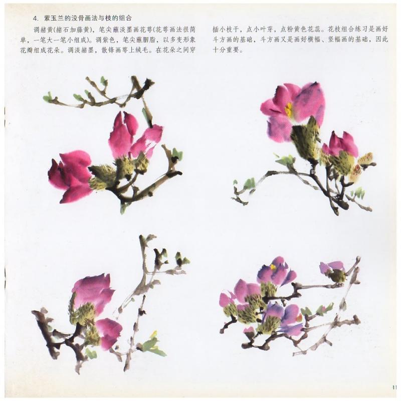 モクレン 木蓮 中国画技法 学画宝典 中国絵画/玉兰花 学画宝典