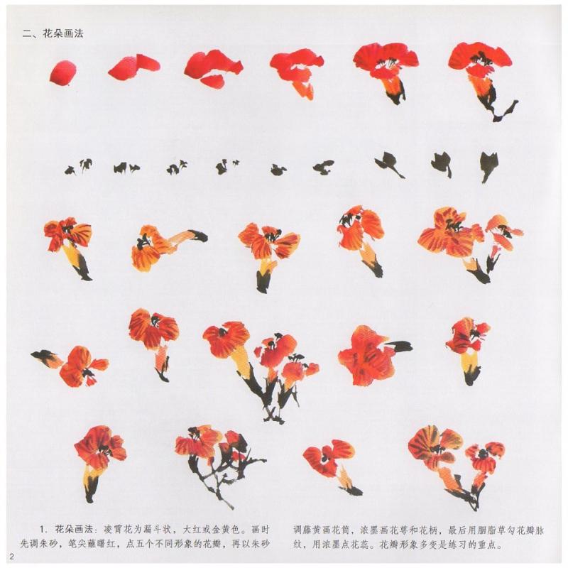 ノウゼンカズラ 凌霄花 中国画技法 学画宝典 中国絵画/凌霄花 学画宝典