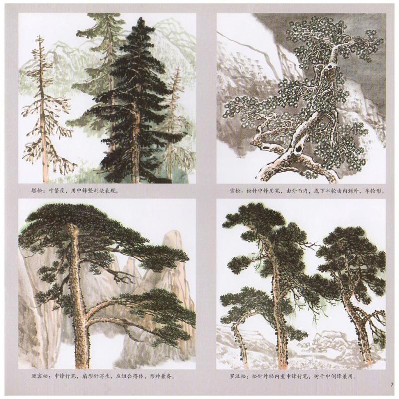 中国名絵／金絵／迎客松￼