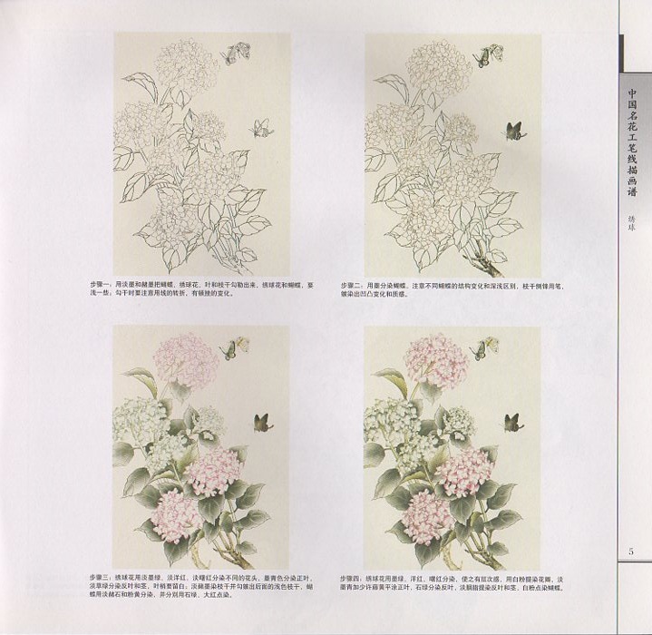 アジサイ 紫陽花 中国名花工筆線描画譜 大人の塗り絵・中国画譜