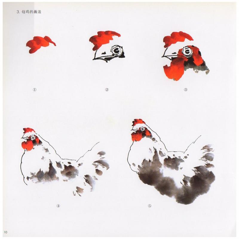 ニワトリ 鶏 中国画技法 学画宝典 中国絵画/鸡 学画宝典 | 中国