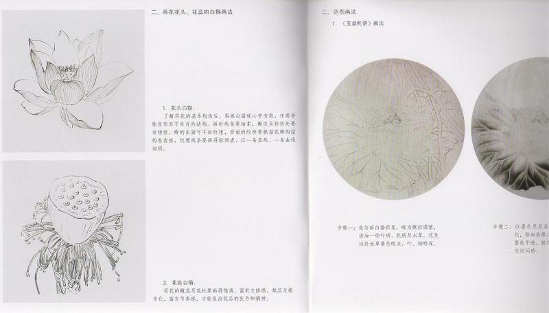 ハス 蓮 中国画技法 学画宝典 中国絵画/荷花 学画宝典 | 中国
