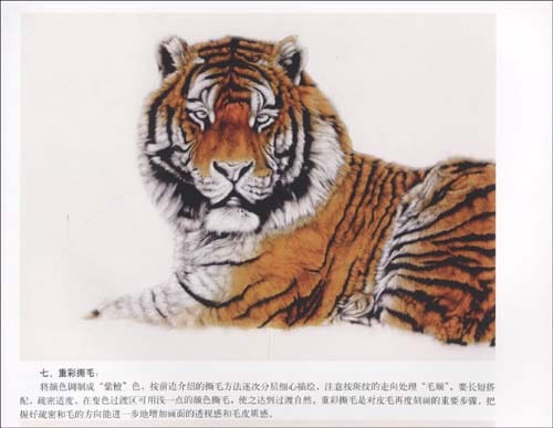 陳敬哲先生 画虎 名画家から学ぶ中国画技法 中国絵画/陈敬哲 画